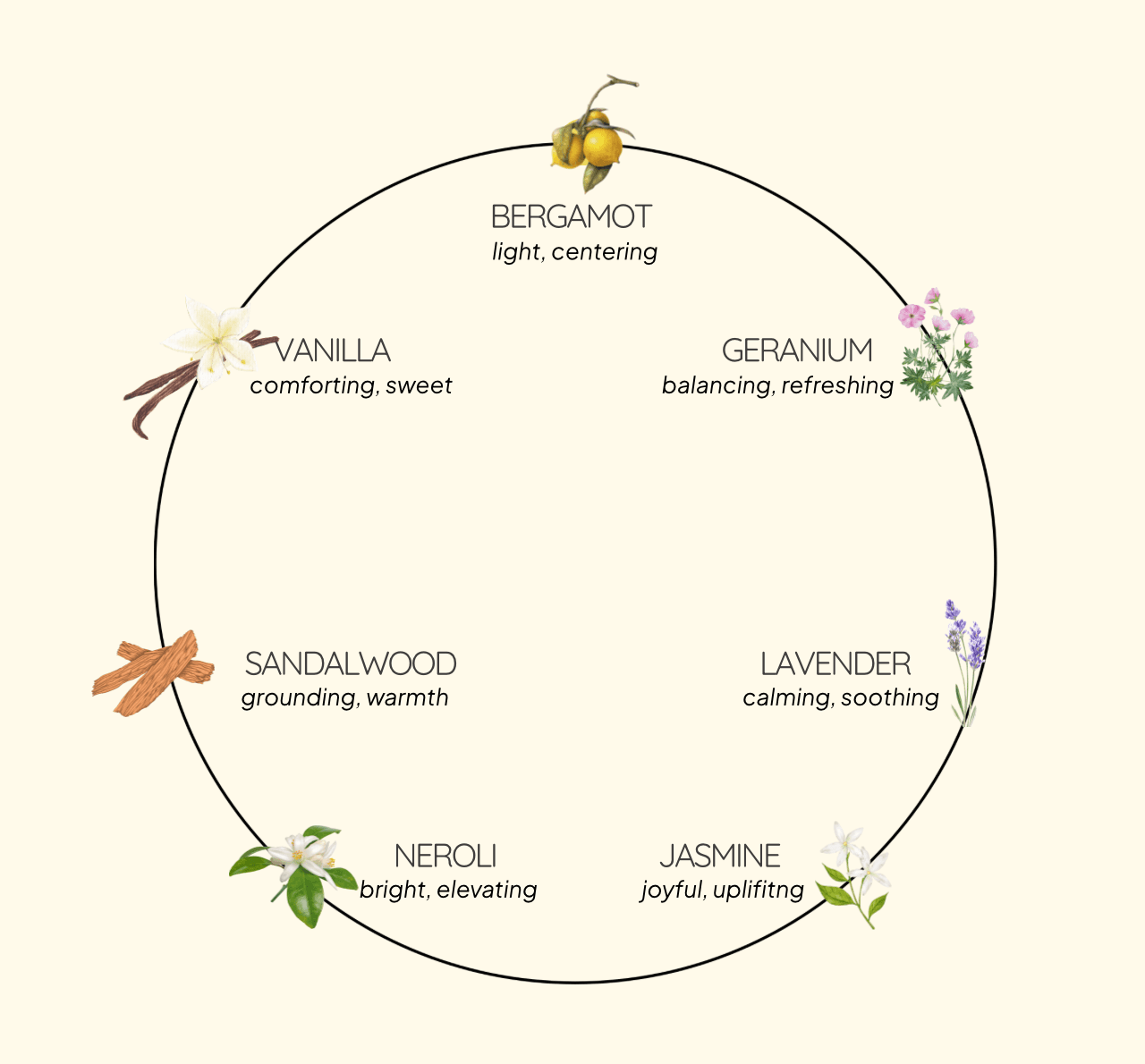 Aroma wheel illustration